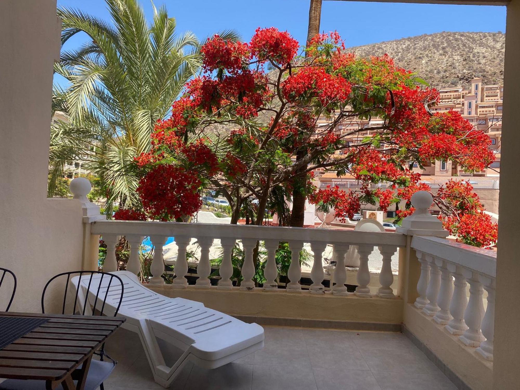 Castle Harbour Samuel'S Studio Flat By Lovetenerife Los Cristianos  Ngoại thất bức ảnh